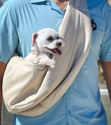 Our products will be available in several colors Beige