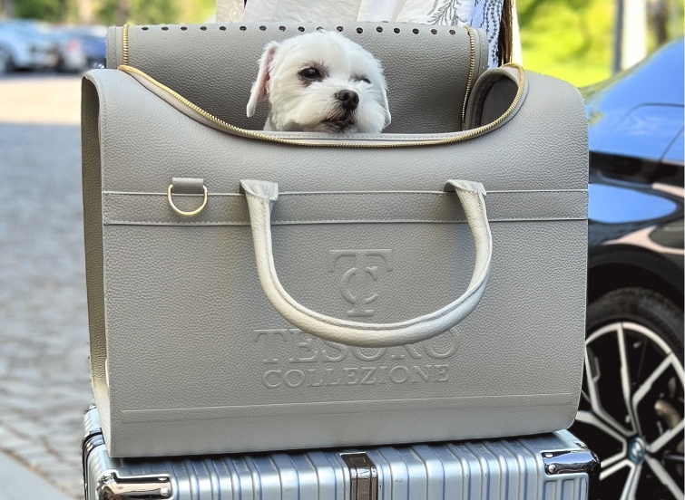 travel bag