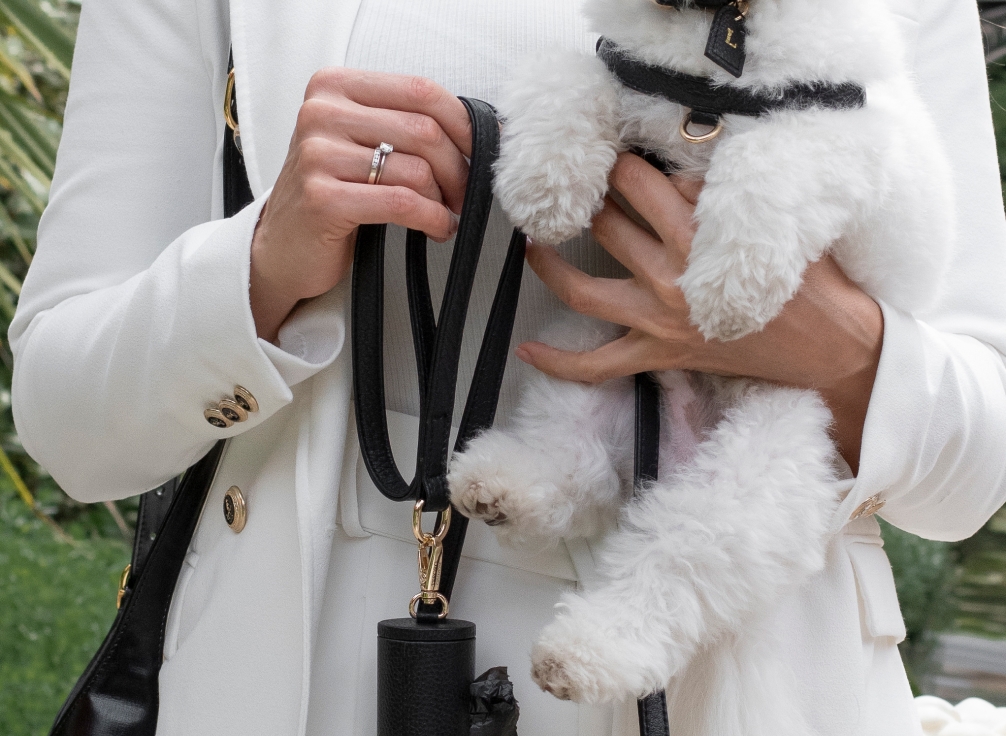 leash