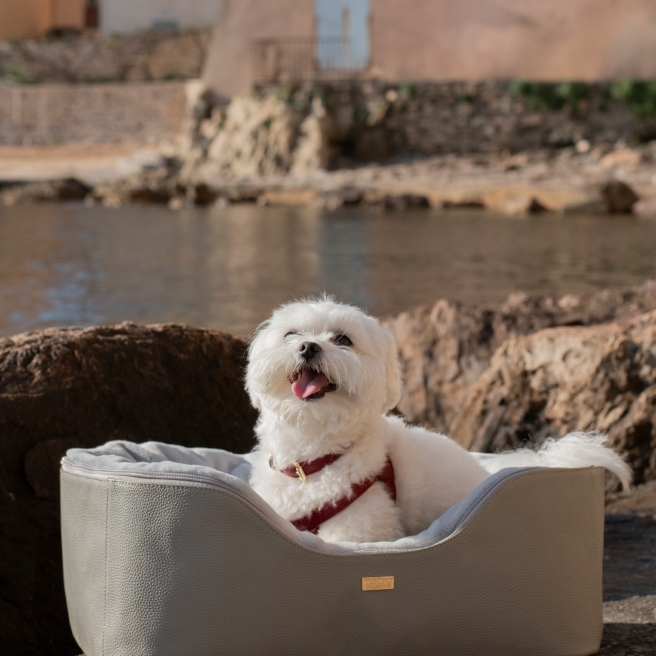 Pet beds