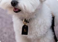 Collar