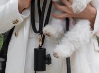 Leash