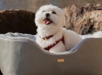 Pet beds